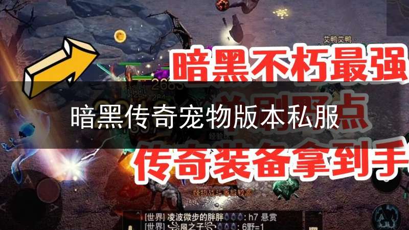 暗黑传奇宠物版本私服_暗黑传奇单机rpg